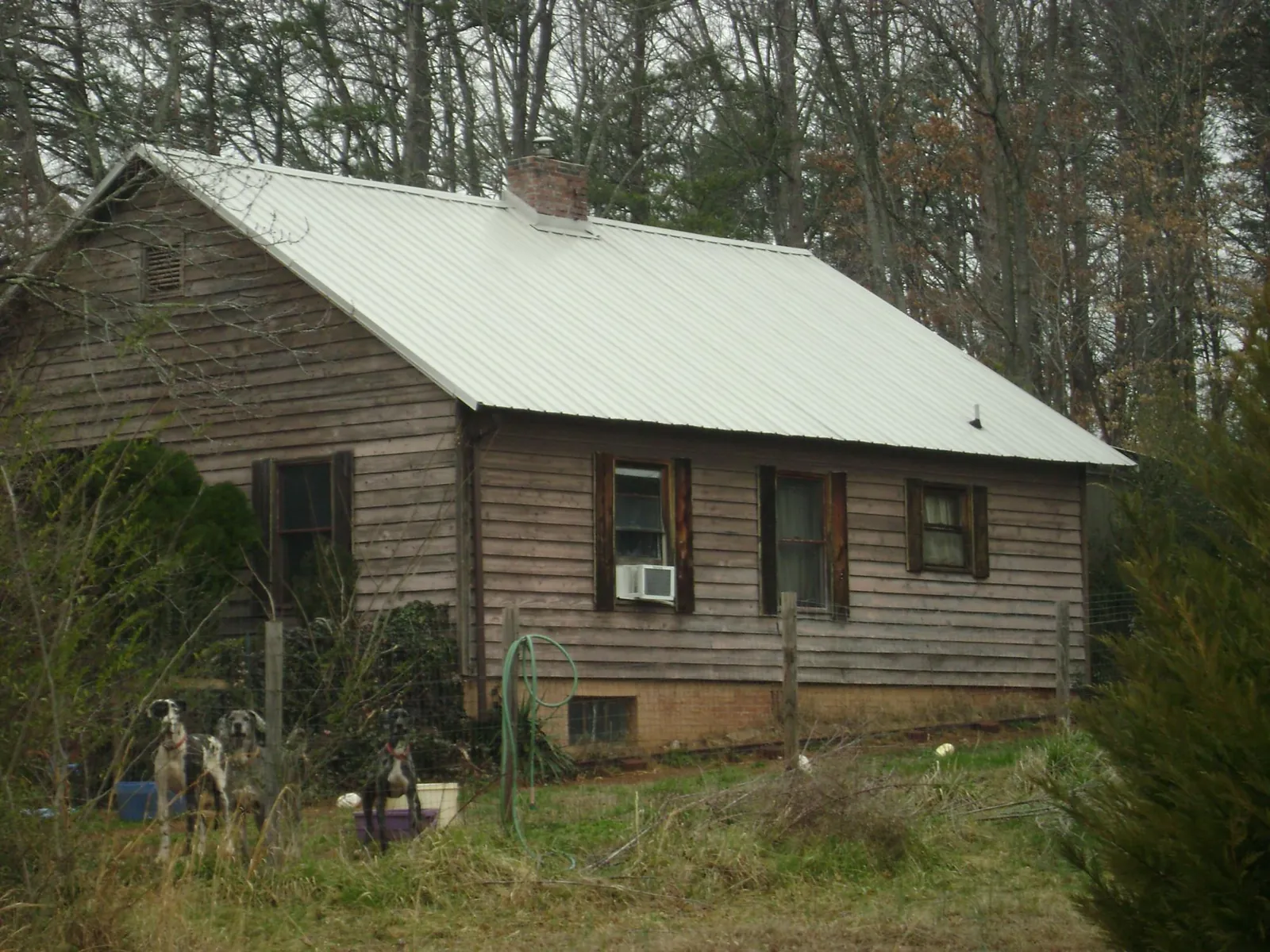 White metal roof on an old wood sided farmhouse, from a Metal Roof Installation job in Cody